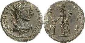 Carausius