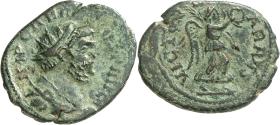 Carausius