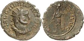 Carausius