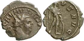 Carausius