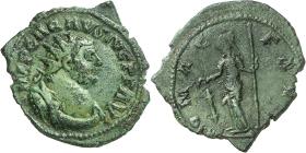 Carausius