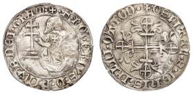 Johanniter: Roger von Pins