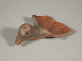 Vogelkopf