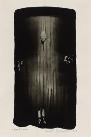 Apparition