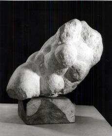 Vilmnitzer Torso