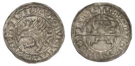 Pommern: Bogislav X.