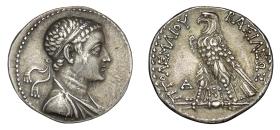 Ptolemäer: Ptolemaios V.