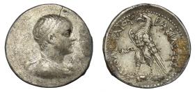 Ptolemäer: Ptolemaios V.