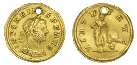 Carinus