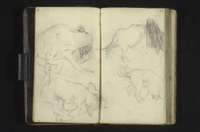 Hundestudien
