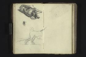 Schlafender Hund, Auge, Ziehhund