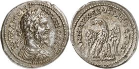 Syria: Septimius Severus
