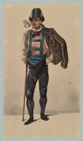 Wiener Bauer