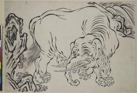 Elefant