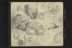 Katzenstudien