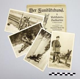 Der Sanitätshund.