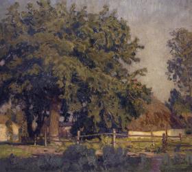 Sommersonne in West-Dievenow