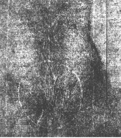 Weibliche Figurenstudie in Seitenansicht (Maria einer Heimsuchung)