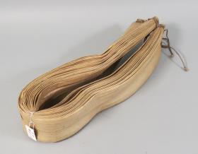 kangur