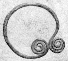 Ring aus Draht, die Enden zu Voluten aufgerollt