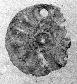 Kleine Rosette aus dünnem Blech