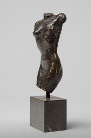 Kleiner Torso