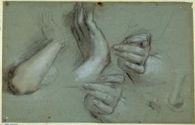 Studien für die linke Hand der Muttergottes im Gemälde der Madonna mit dem Hl. Simon (Madonna di San Simone) in Urbino (Galleria Nazionale delle Marche)