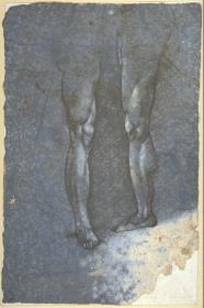 Beinstudien
