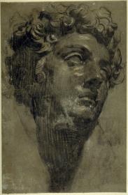 Studie nach dem Kopf des Giuliano de' Medici von Michelangelo