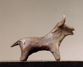 Rind (Stier)