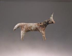 Rind (Stier)