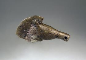 Kopf eines Pferdes