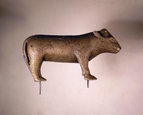 Rind (Stier)