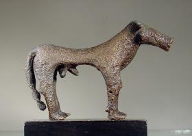 Rind (Stier)