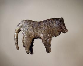 Rind (Stier)
