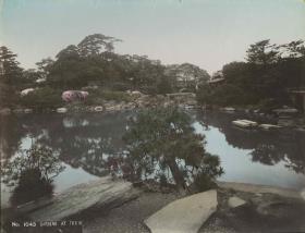 Garten in Tokyo