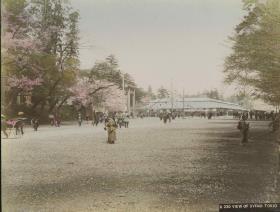 Teilansicht des Uenoparks　上野公園風景