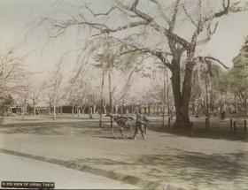 Ansicht des Ueno-Parks mit einem Rikscha-Fahrer