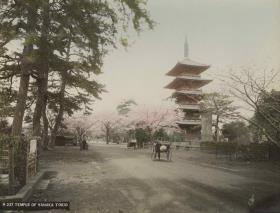 Ansicht einer Pagode im Stadtteil Yanaka/Tôkyô
