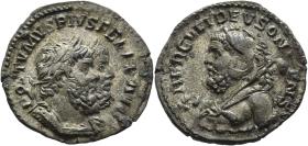 Postumus