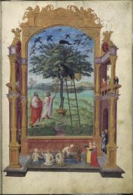 Splendor Solis oder Sonnenglanz - Philosophischer Baum