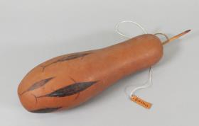 Pilölea