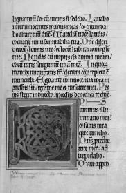 Initiale D zu Ps.26 Thüringisch-sächsisches Psalterium