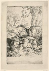 Eule und Federvieh