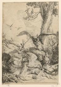 Eule und Federvieh