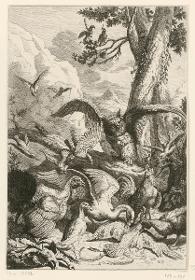 Eule und Federvieh