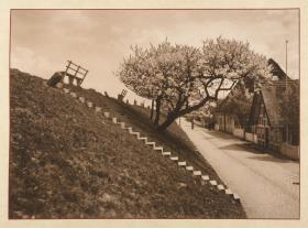 Lüheort. Dorfstraße am Elbdeich (aus dem Album "Hamburg: Land und Leute der Niederelbe")