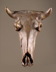 Stierschädel. Bucranium