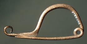 Kleine Bogenfibel