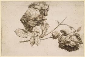 Rosenzweig